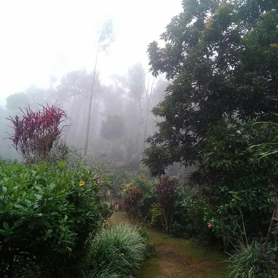 Appartamento Hill Side Estate Madikeri Esterno foto